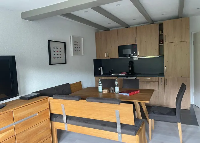 Haus Am Sonnenberg,Todtnauberg, Ferienwohnung 305, Direkt Am Skilift-Skipiste, Naehe Feldberg
