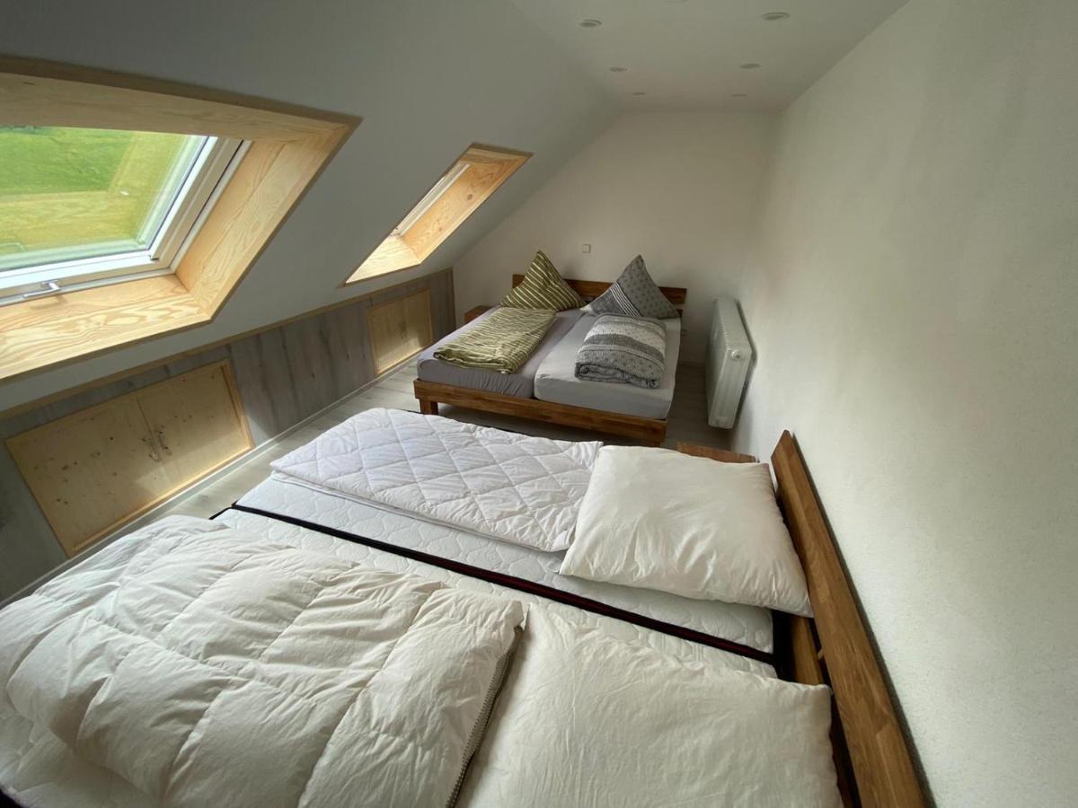 Haus Am Sonnenberg,todtnauberg, 305, Direkt Am Skilift-skipiste, Naehe Feldberg Appartement *