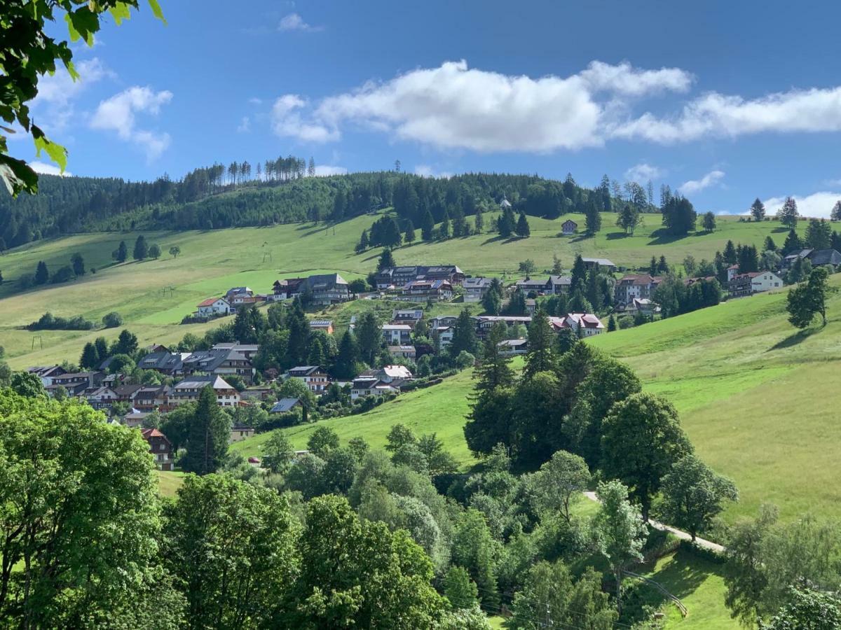 Haus Am Sonnenberg,todtnauberg, 305, Direkt Am Skilift-skipiste, Nähe Feldberg *