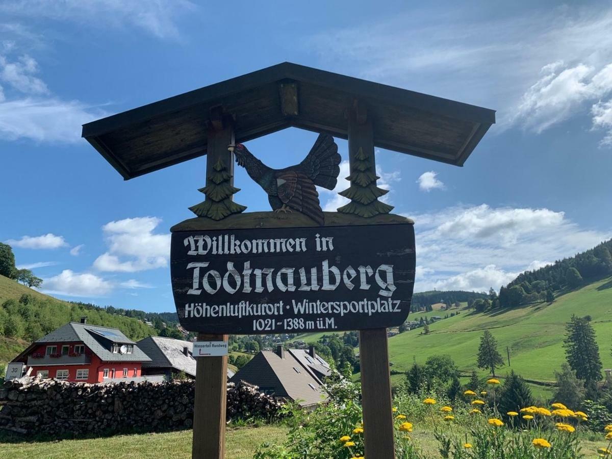 Haus Am Sonnenberg,todtnauberg, 305, Direkt Am Skilift-skipiste, Nähe Feldberg * Todtnauberg